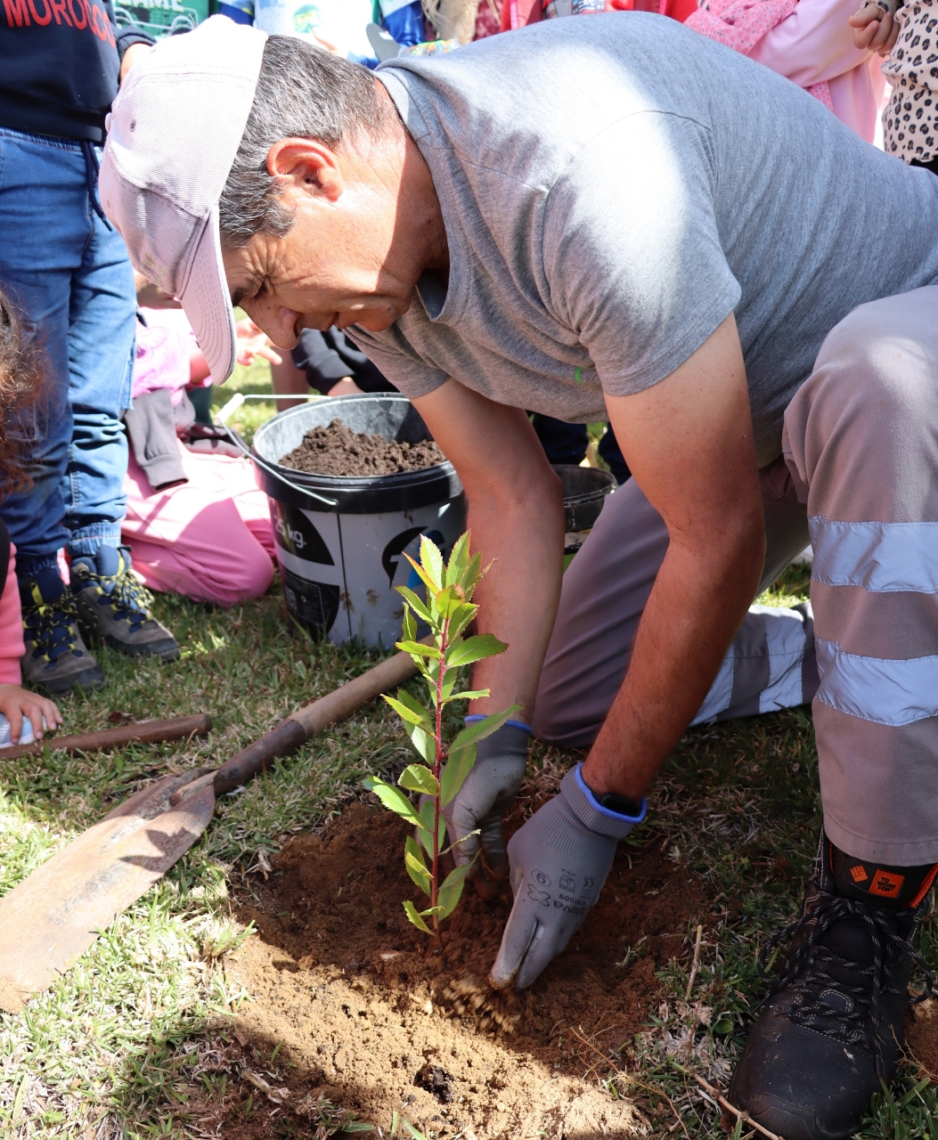 Aljezur assinala Dia Mundial da Árvore junto da Comunidade Escolar